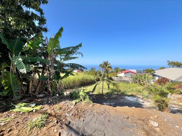 Terrain a batir a vendre Saint-Joseph 97480 Réunion 442 m2  115000 euros