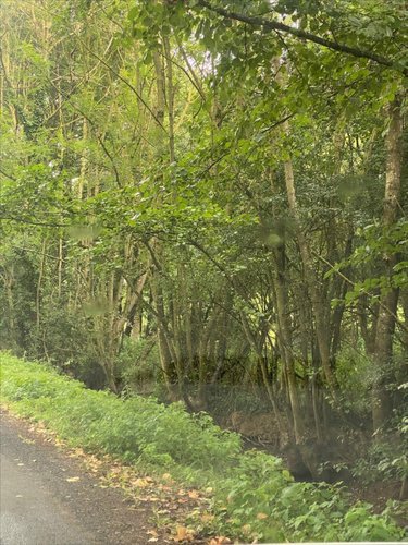 Terrains de loisirs bois etangs a vendre La Boussac 35120 Ille-et-Vilaine 3820 m2  3700 euros