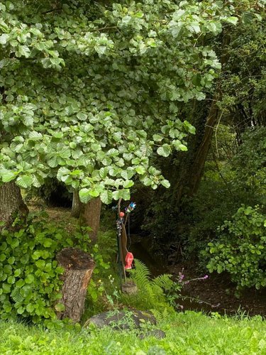 Terrains de loisirs bois etangs a vendre La Boussac 35120 Ille-et-Vilaine 3820 m2  3700 euros