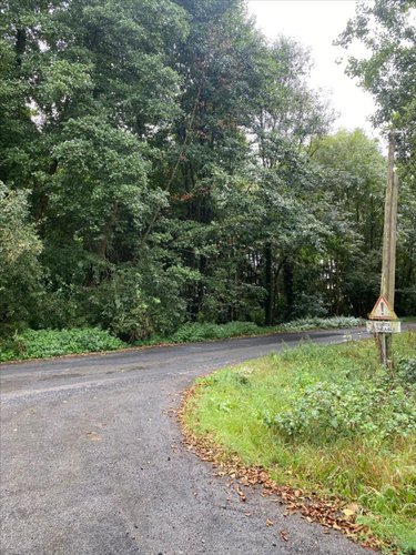 Terrains de loisirs bois etangs a vendre La Boussac 35120 Ille-et-Vilaine 3820 m2  3700 euros
