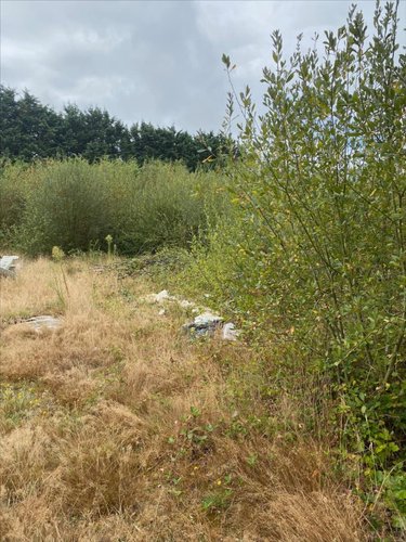 Bien agricole a vendre Saint-Broladre 35120 Ille-et-Vilaine  2500 euros