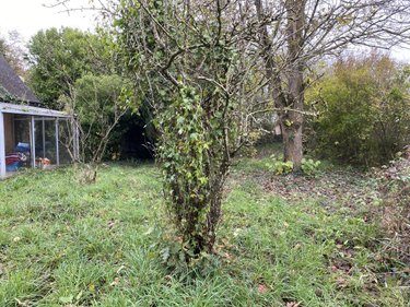 Maison a vendre Saint-Gilles-les-Bois 22290 Côtes-d'Armor 93 m2  90970 euros