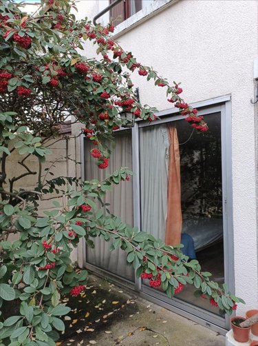 Maison a vendre Antony 92160 Hauts-de-Seine 108 m2 6 pièces 650000 euros