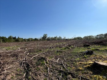 Terrains de loisirs bois etangs a vendre Plourac'h 22160 Côtes-d'Armor 35891 m2  9100 euros