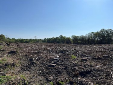 Terrains de loisirs bois etangs a vendre Plourac'h 22160 Côtes-d'Armor 35891 m2  9100 euros