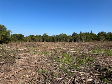 Terrains de loisirs bois etangs a vendre Plourac'h 22160 Côtes-d'Armor 35891 m2  9100 euros