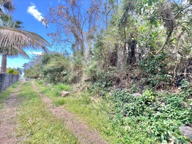 Terrain a batir a vendre Entre-Deux 97414 Réunion 1627 m2  488000 euros