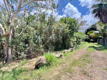 Terrain a batir a vendre Entre-Deux 97414 Réunion 1627 m2  488000 euros