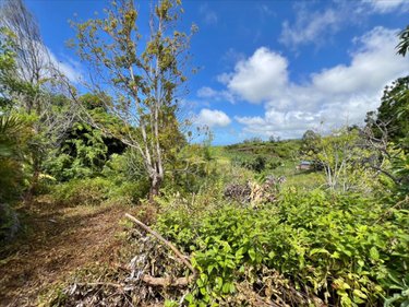 Terrain a batir a vendre Saint-Joseph 97480 Réunion 688 m2  86000 euros