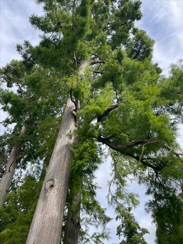 Maison a vendre Nantes 44000 Loire-Atlantique 150 m2 6 pièces 828000 euros