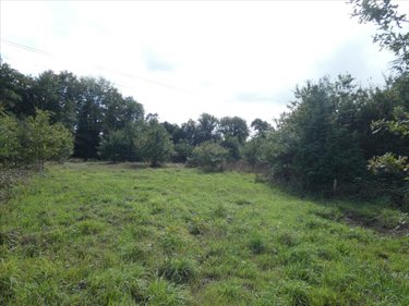 Maison a vendre Plouyé 29690 Finistère 110 m2 6 pièces 126000 euros