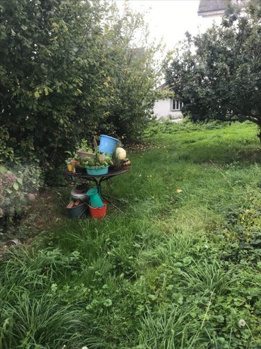 Maison a vendre Locmiquélic 56570 Morbihan 50 m2 2 pièces 223600 euros