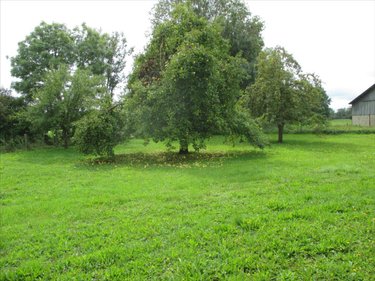 Maison a vendre Vauchoux 70170 Haute-Saône 110 m2 4 pièces 86000 euros