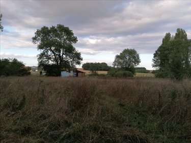 Terrains de loisirs bois etangs a vendre Abilly 37160 Indre-et-Loire 3780 m2  9800 euros