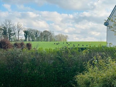 Maison a vendre Fontaine-le-Dun 76740 Seine-Maritime 112 m2 6 pièces 179990 euros