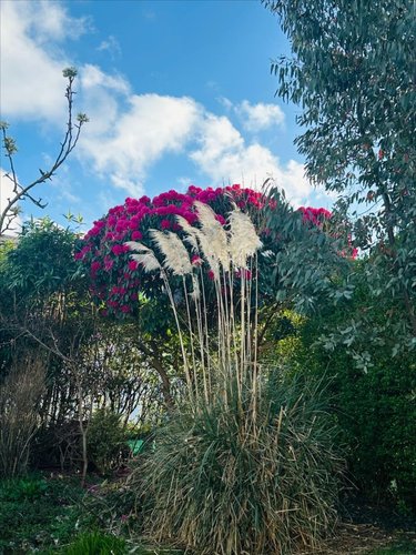 Maison a vendre Fontaine-le-Dun 76740 Seine-Maritime 112 m2 6 pièces 179990 euros