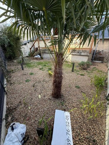 Location maison Collorec 29530 Finistère 65 m2 1 pièce 600 euros