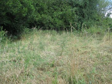 Maison a vendre Alaincourt 70210 Haute-Saône 80 m2 4 pièces 35000 euros