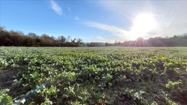 Maison a vendre Saint-Hernin 29270 Finistère 85 m2 5 pièces 131250 euros