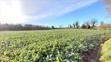 Maison a vendre Saint-Hernin 29270 Finistère 85 m2 5 pièces 131250 euros