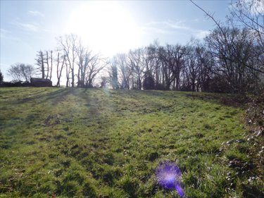 Terrain a batir a vendre La Haye 50250 Manche 945 m2  50477 euros