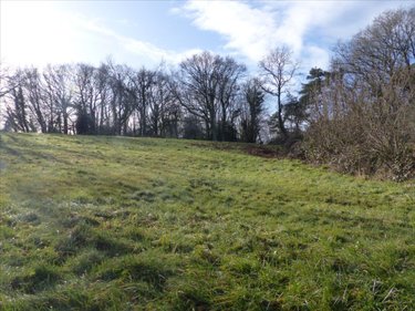 Terrain a batir a vendre La Haye 50250 Manche 945 m2  50477 euros