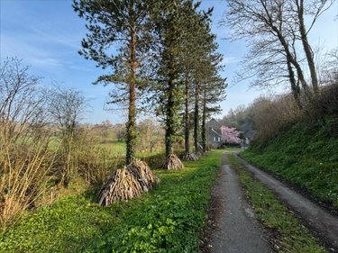 Maison a vendre Magneville 50260 Manche 466 m2 10 pièces 228400 euros