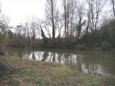 Maison a vendre Abilly 37160 Indre-et-Loire 78 m2 4 pièces 131250 euros