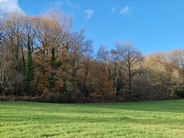 Terrains de loisirs bois etangs a vendre Plumelec 56420 Morbihan 13250 m2  9000 euros