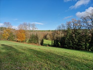 Terrains de loisirs bois etangs a vendre Plumelec 56420 Morbihan 13250 m2  9000 euros