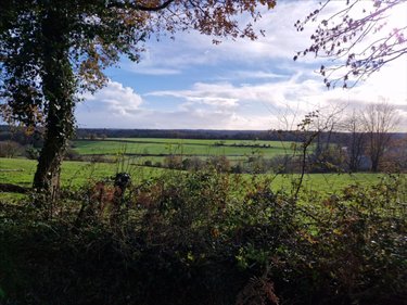 Terrains de loisirs bois etangs a vendre Plumelec 56420 Morbihan 13250 m2  9000 euros