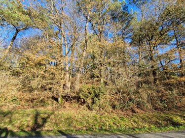 Terrains de loisirs bois etangs a vendre Trédion 56250 Morbihan 2685 m2  2800 euros