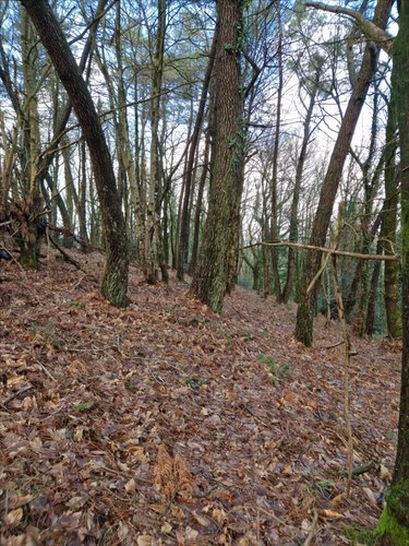 Terrains de loisirs bois etangs a vendre Plumelec 56420 Morbihan 5727 m2  3200 euros