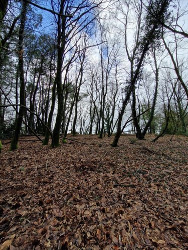 Terrains de loisirs bois etangs a vendre Plumelec 56420 Morbihan 5727 m2  3200 euros