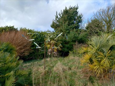 Maison a vendre Lanildut 29840 Finistère 70 m2 4 pièces 208400 euros