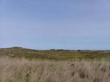 Maison a vendre Surville 50250 Manche 70 m2 3 pièces 378240 euros