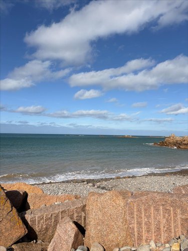 Maison a vendre Pleubian 22610 Côtes-d'Armor 65 m2 3 pièces 270972 euros