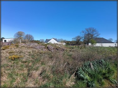 Terrain a batir a vendre Saint-Thurial 35310 Ille-et-Vilaine 572 m2  64000 euros