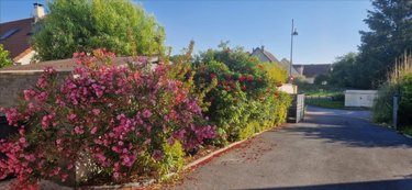 Maison a vendre Prunay 51360 Marne 180 m2 6 pièces 440000 euros