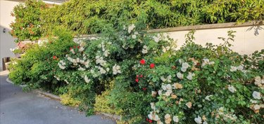 Maison a vendre Prunay 51360 Marne 180 m2 6 pièces 440000 euros