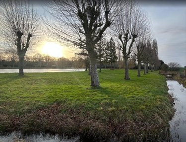 Terrains de loisirs bois etangs a vendre Richelieu 37120 Indre-et-Loire 485 m2  4100 euros