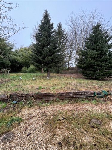 Location maison Montrevel-en-Bresse 01340 Ain 123 m2 4 pièces 1225 euros