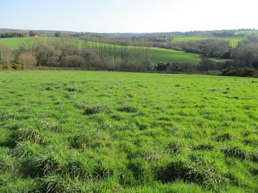 Bien agricole a vendre Plévin 22340 Côtes-d'Armor  42500 euros