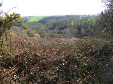 Bien agricole a vendre Plévin 22340 Côtes-d'Armor  42500 euros