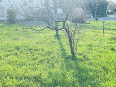 Maison a vendre Longèves 17230 Charente-Maritime 105 m2 4 pièces 248500 euros