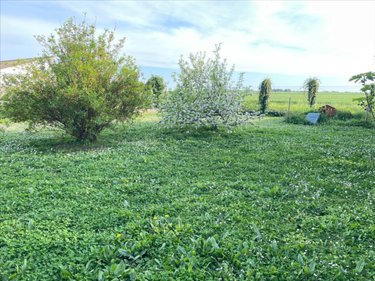 Terrain a batir a vendre Montroy 17220 Charente-Maritime 401 m2  105000 euros