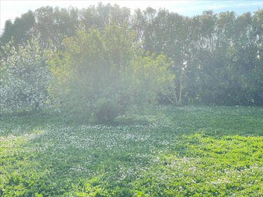 Terrain a batir a vendre Montroy 17220 Charente-Maritime 401 m2  105000 euros