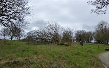 Terrain a batir a vendre Carhaix-Plouguer 29270 Finistère 2278 m2  84000 euros