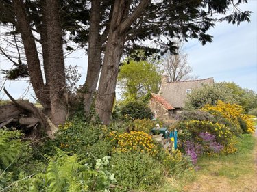 Maison a vendre Lanmodez 22610 Côtes-d'Armor 35 m2 1 pièce 90250 euros