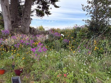 Maison a vendre Lanmodez 22610 Côtes-d'Armor 35 m2 1 pièce 90250 euros